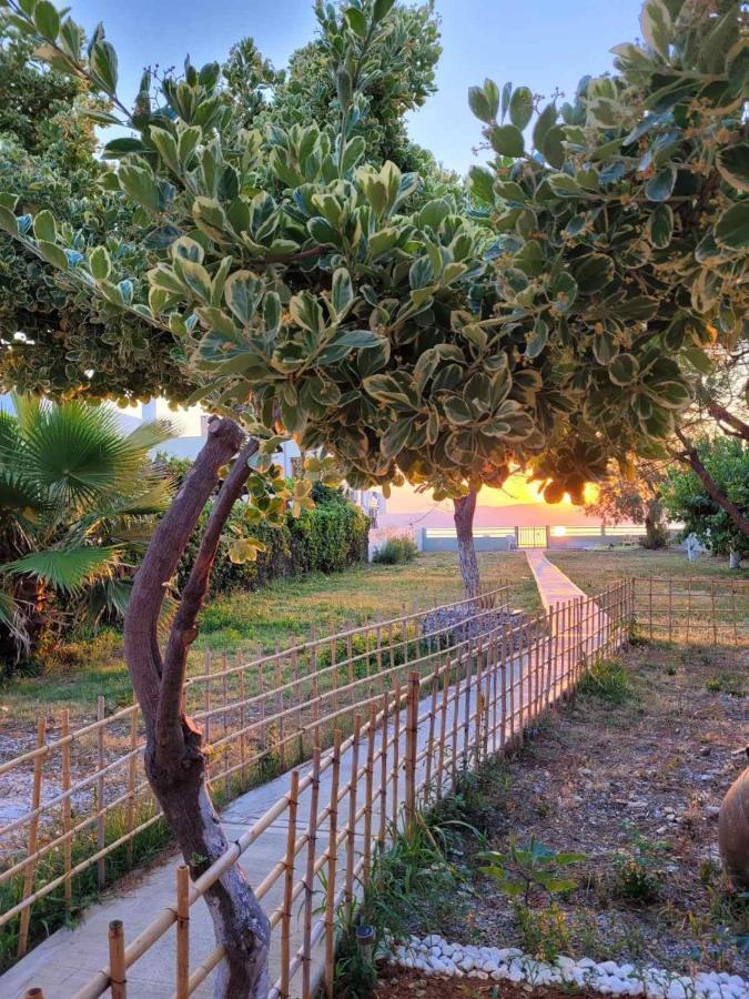 Villamare Nerántza 外观 照片